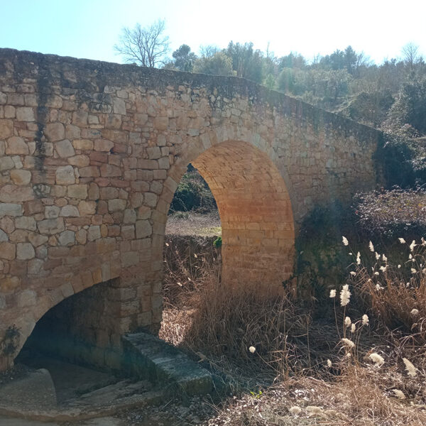 Puente-Medieval-Torre-de-Arcas-11