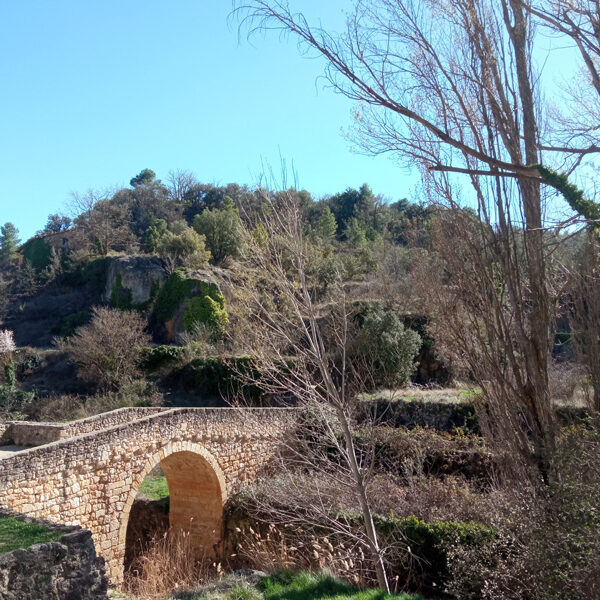 Puente-Medieval-Torre-de-Arcas-15