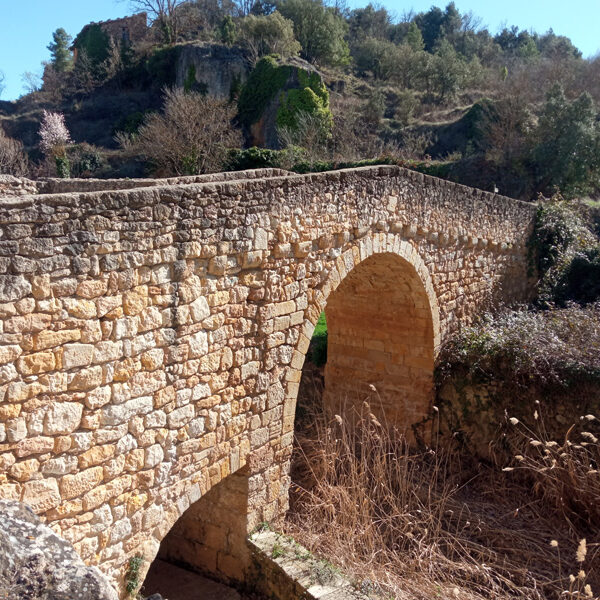 Puente-Medieval-Torre-de-Arcas-6